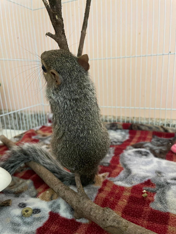 I love gnawing in the morning!