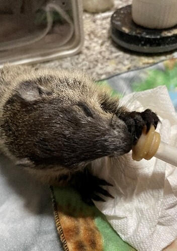 More formula, please