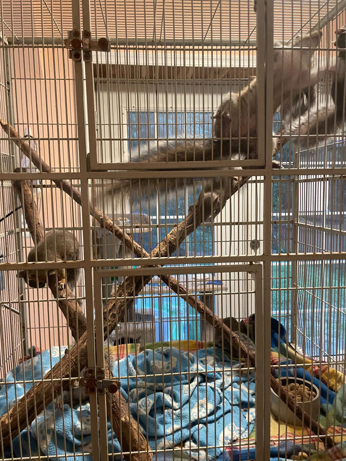 Now released and thriving Now released and thriving