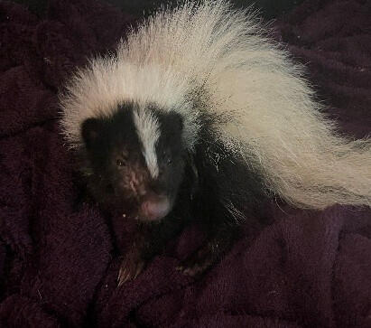 Look at those soulful eyes